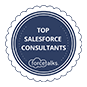 Top Salesforce Consultants - Fexle