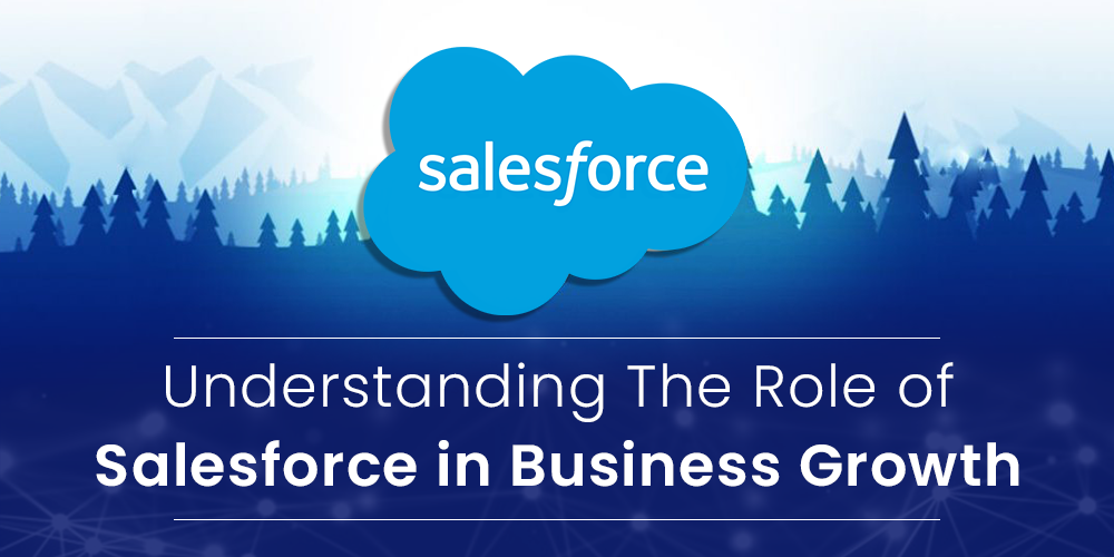 understanding the role of salesforce in business growth