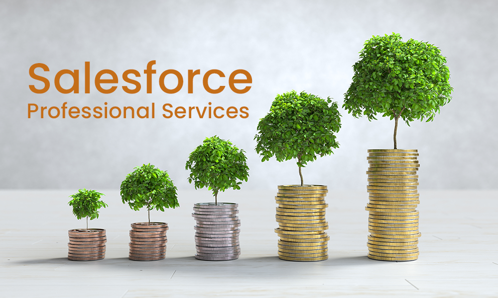 salesforce professional services