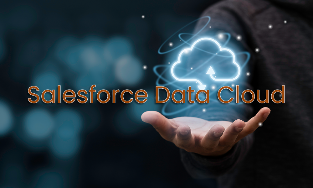 salesforce data cloud implementation service provider