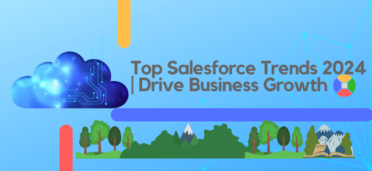 Salesforce Accelerator