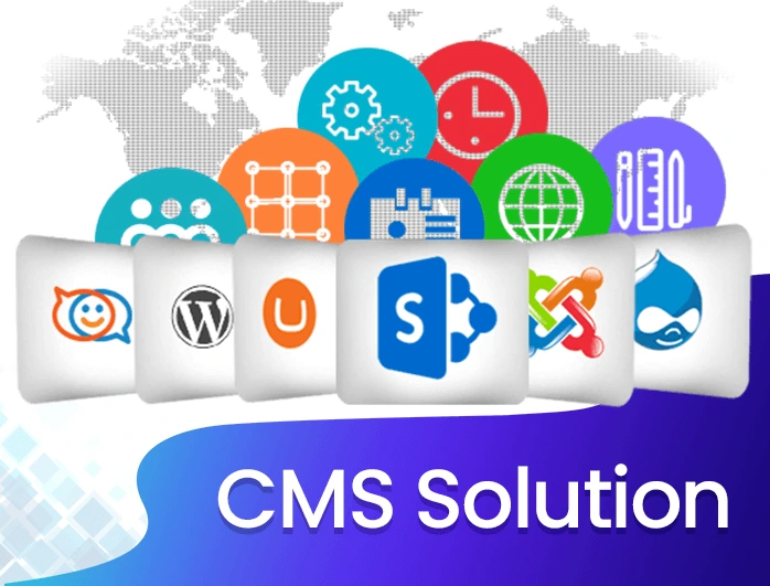 cms solution provider in india and usa