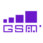 GSM Network (2G/3G) GSM Network (2G/3G)