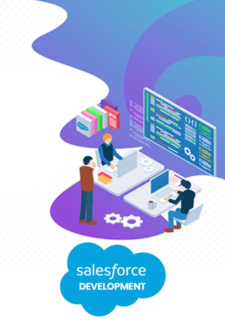 Salesforce Development Solutions
