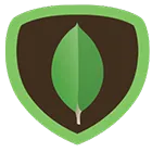 MongoDB - Fexle MongoDB - Fexle