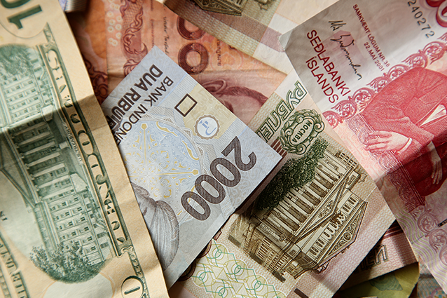 Multilingual/Multi Currency Multilingual/Multi Currency