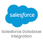 Salesforce Database Integration