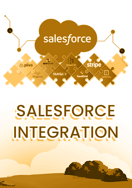 Salesforce Integration