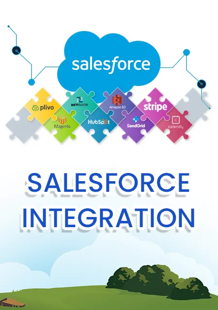 Salesforce Integration