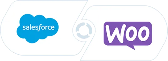 Salesforce Woocommerce Integration