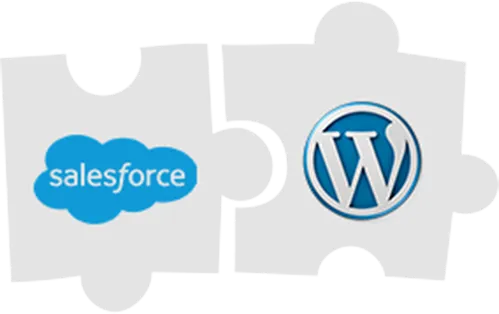 Salesforce Wordpress Integration