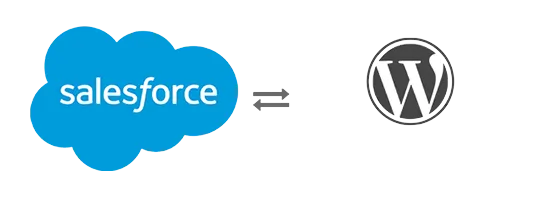 Salesforce Wordpress Image