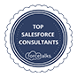 Top Salesforce Consultants - Fexle