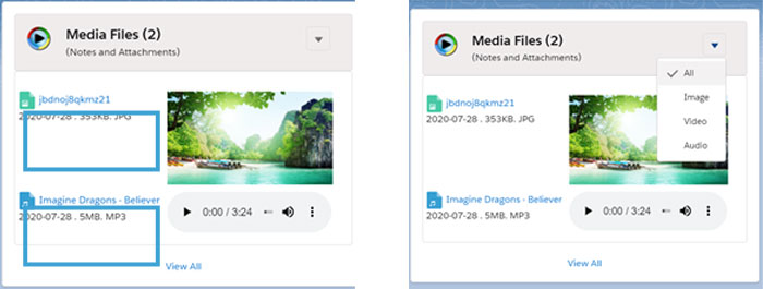 Viewing The Media File Attachments in Records