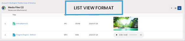 Viewing The Media File Attachments in Records