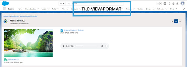 Viewing The Media File Attachments in Records