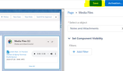 Viewing The Media File Attachments in Records